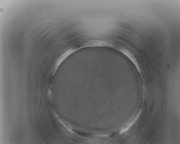 X0000063501481200601271732