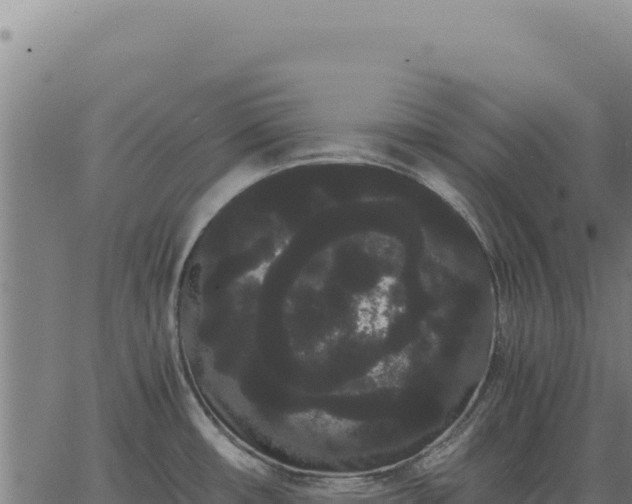 X0000063501482200601271732