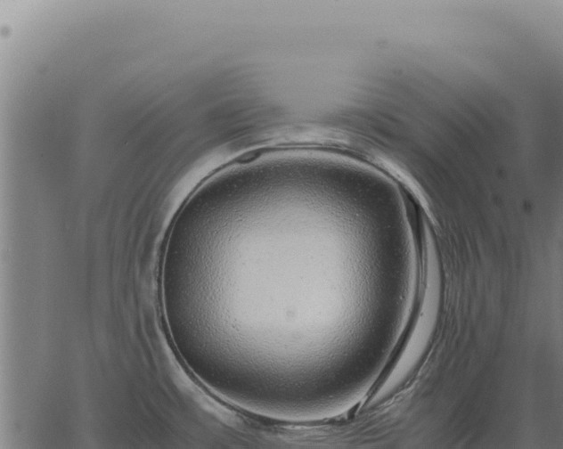 X0000063501483200601271732