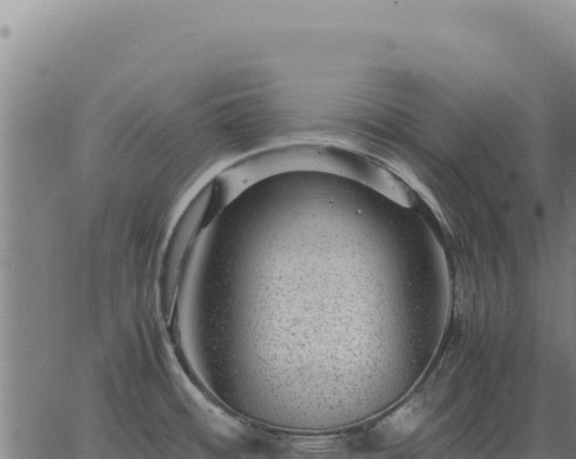 X0000063501484200601271732