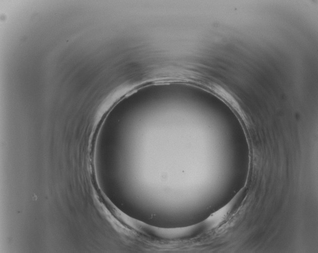 X0000063501485200601271732