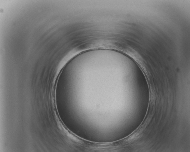 X0000063501486200601271732