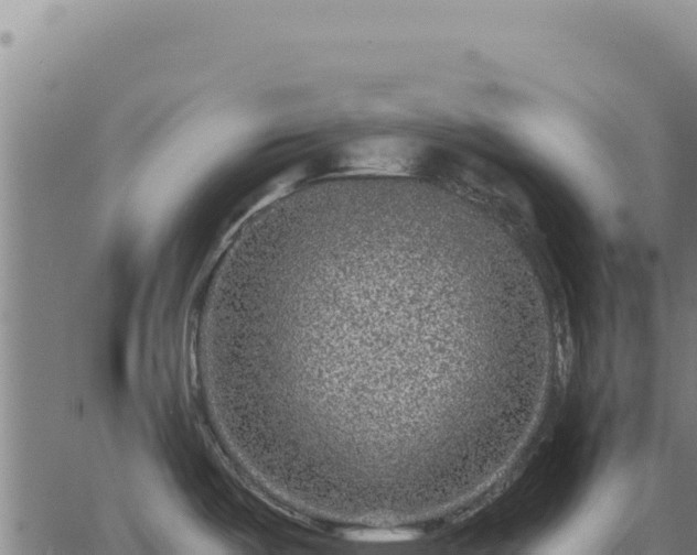 X0000063501487200601271732