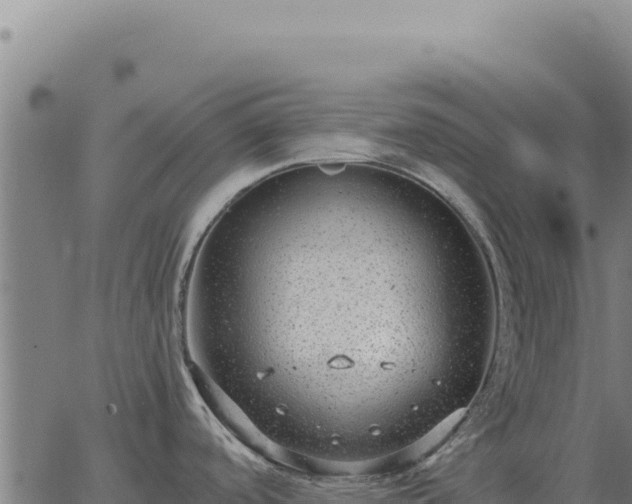 X0000063501488200601271732