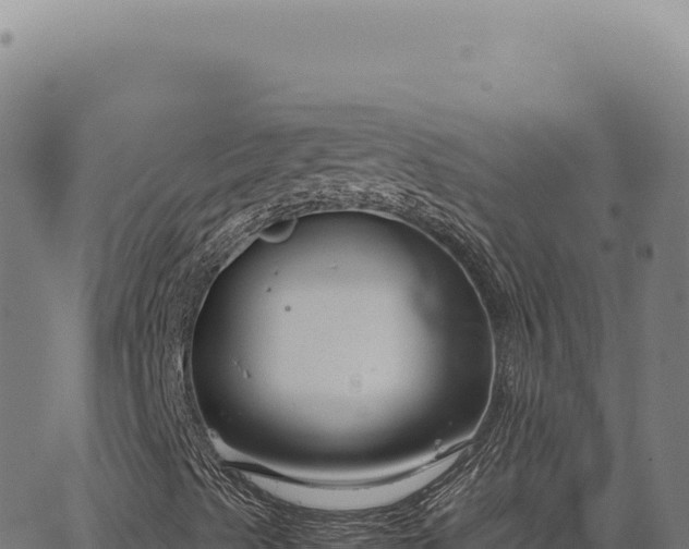 X0000063501489200601271732