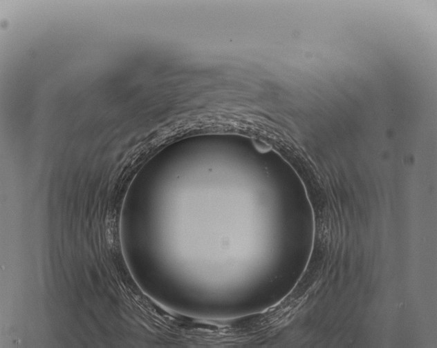 X0000063501490200601271732