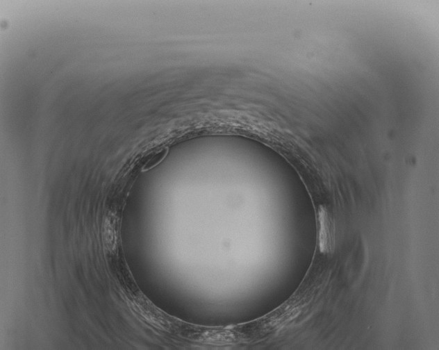 X0000063501491200601271732