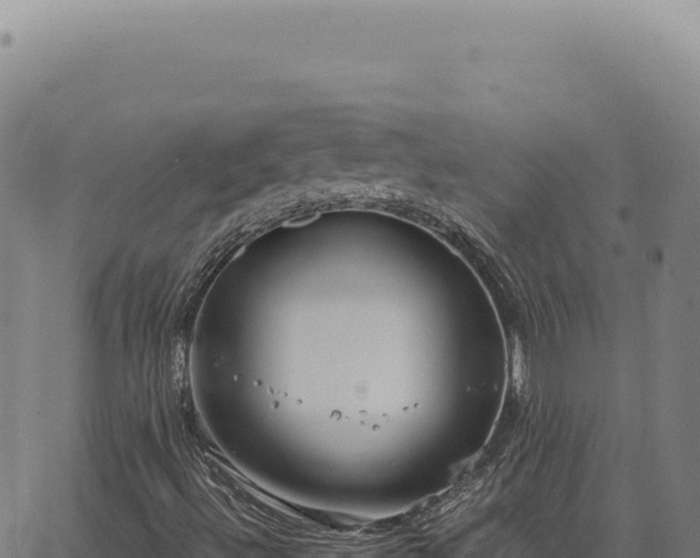 X0000063501492200601271732