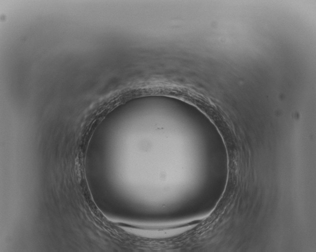 X0000063501493200601271732