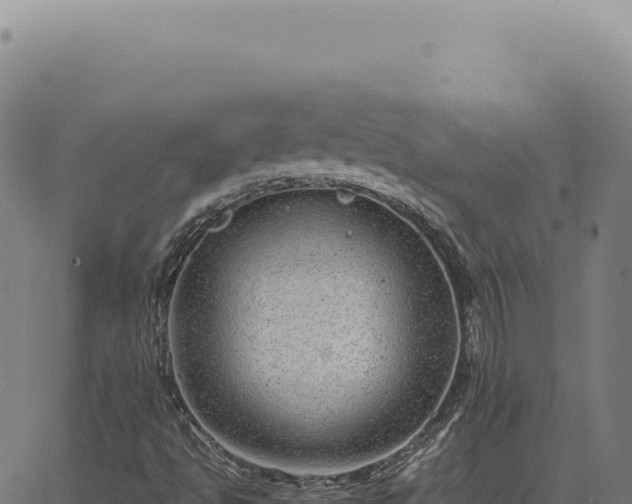 X0000063501494200601271732