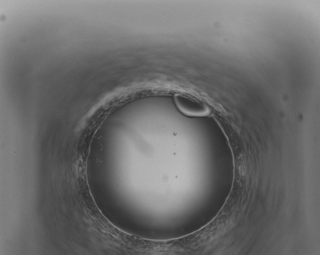 X0000063501495200601271732