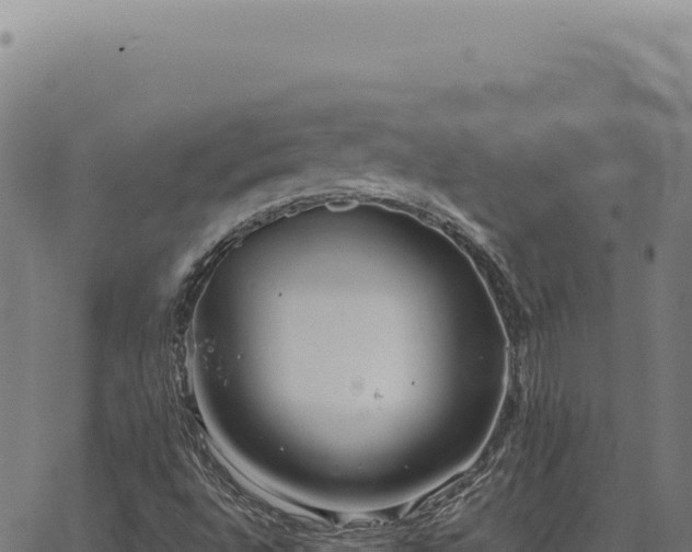 X0000063501496200601271732