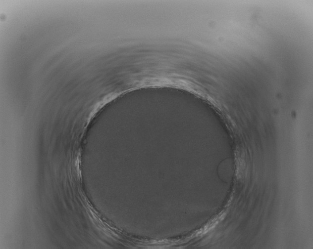 X0000063501497200601271732