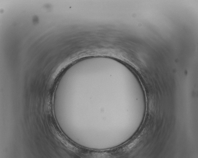 X0000063501498200601271732