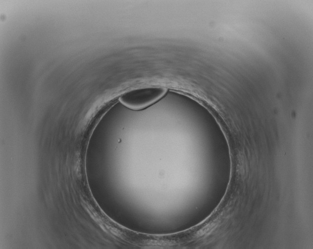 X0000063501499200601271732