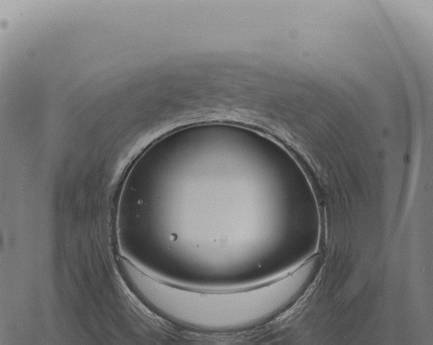 X0000063501500200601271732