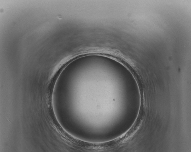 X0000063501501200601271732