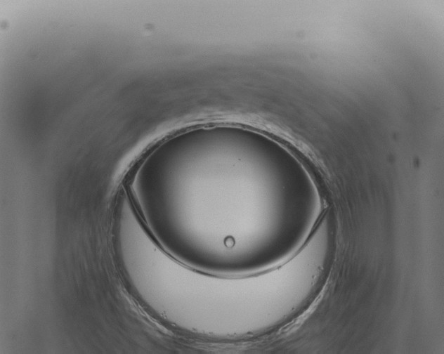 X0000063501502200601271732