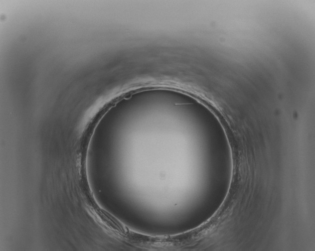 X0000063501503200601271732