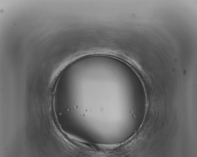 X0000063501504200601271732