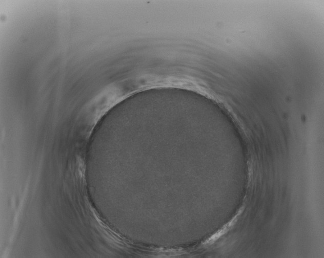 X0000063501505200601271732