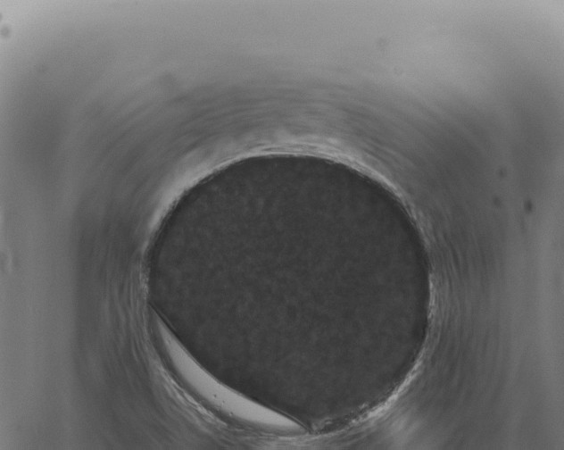 X0000063501506200601271732