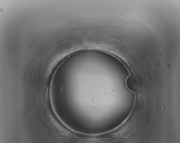 X0000063501507200601271732