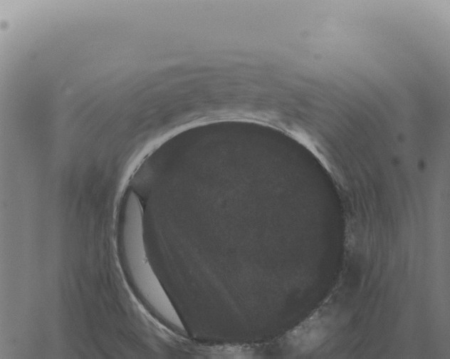 X0000063501508200601271732