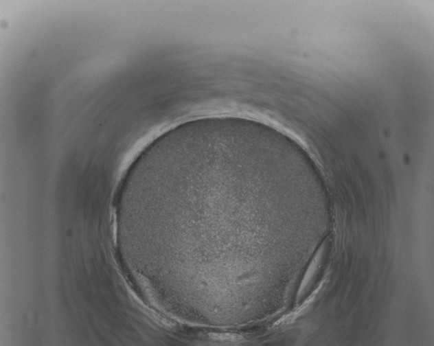 X0000063501509200601271732