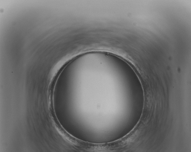 X0000063501511200601271732