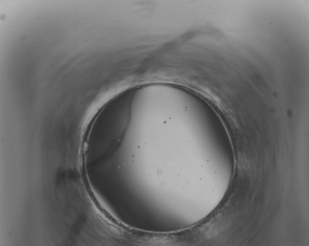 X0000063501512200601271732