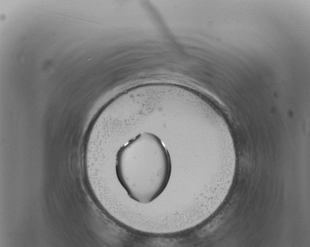 X0000063501514200601271732