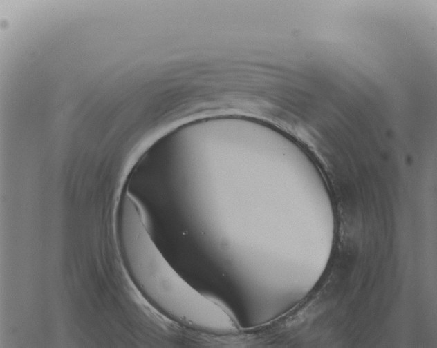 X0000063501516200601271732