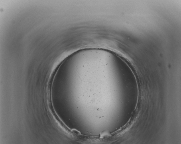 X0000063501517200601271732