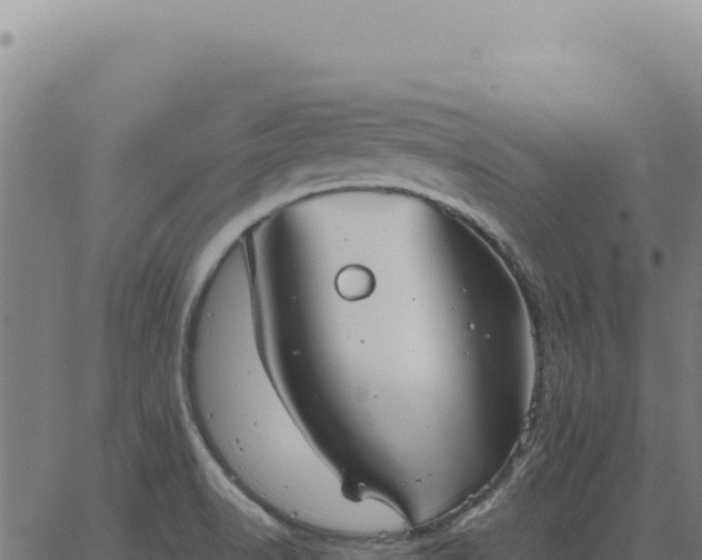 X0000063501518200601271732