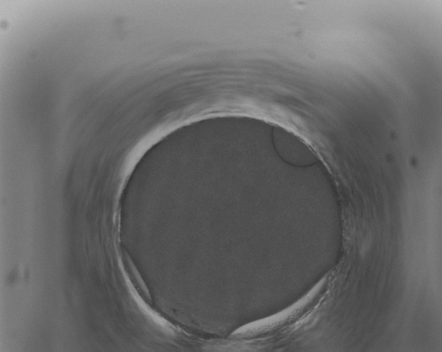 X0000063501519200601271732