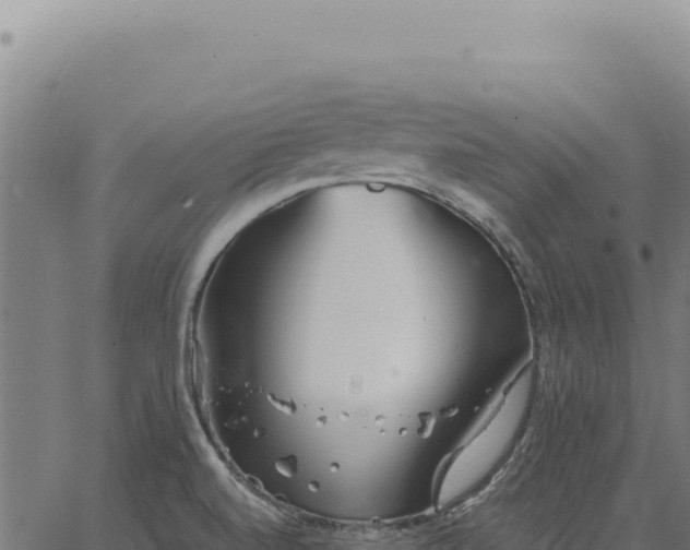 X0000063501520200601271732