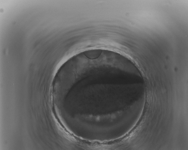 X0000063501522200601271732