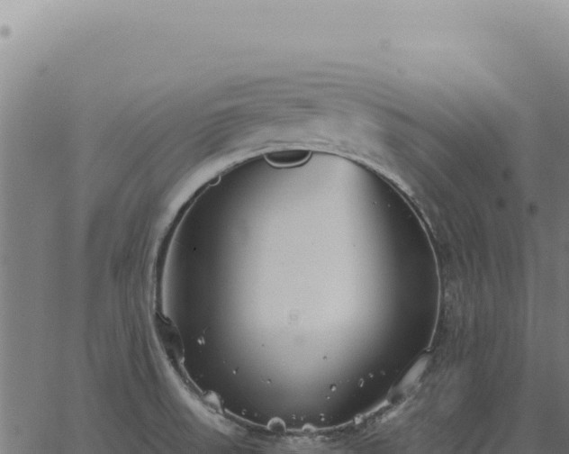 X0000063501523200601271732