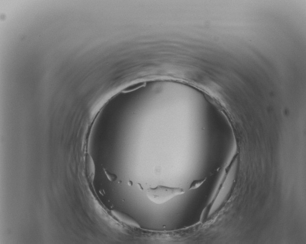 X0000063501524200601271732