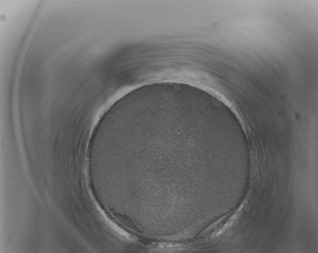 X0000063501525200601271732