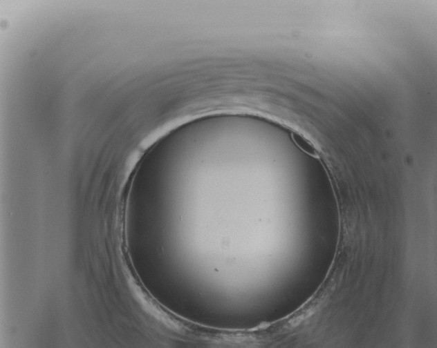 X0000063501526200601271732