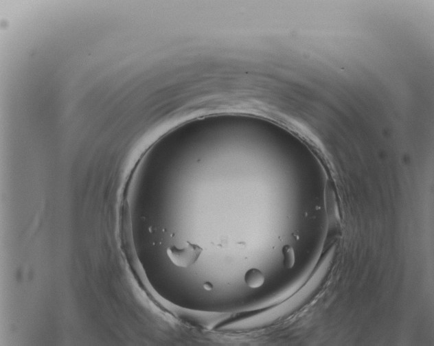 X0000063501528200601271732