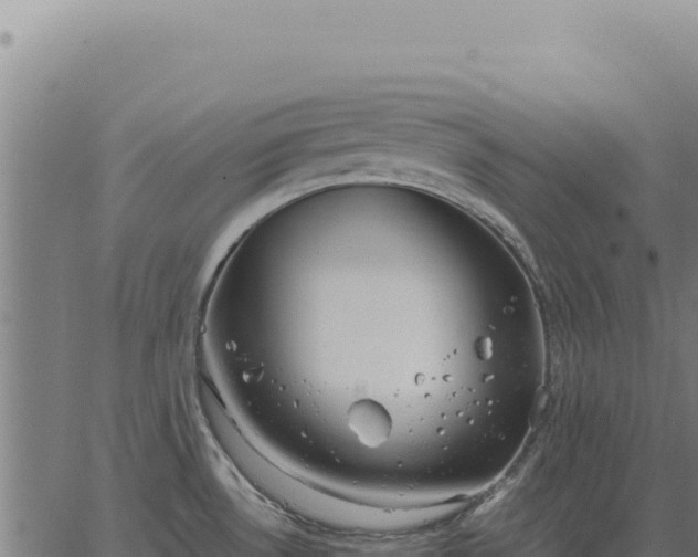 X0000063501530200601271732