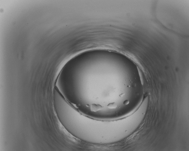 X0000063501532200601271732