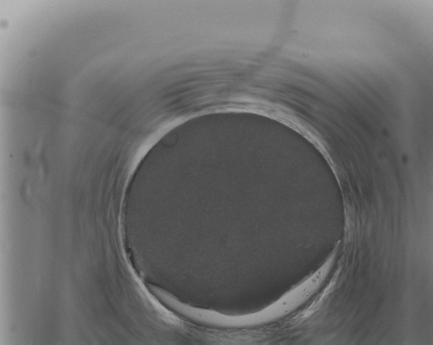 X0000063501533200601271732