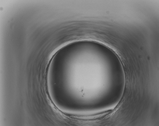 X0000063501534200601271732