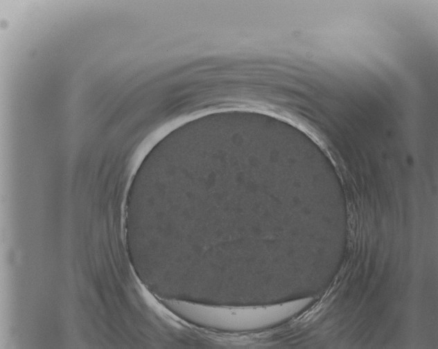 X0000063501535200601271732