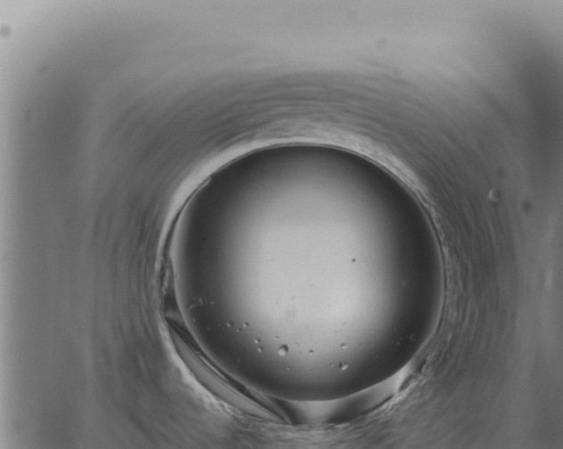 X0000063501536200601271732