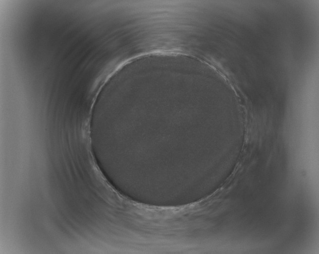 X0000063500002200602032029